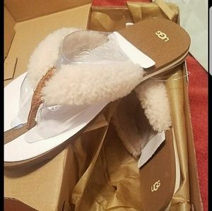 Ugg slippers